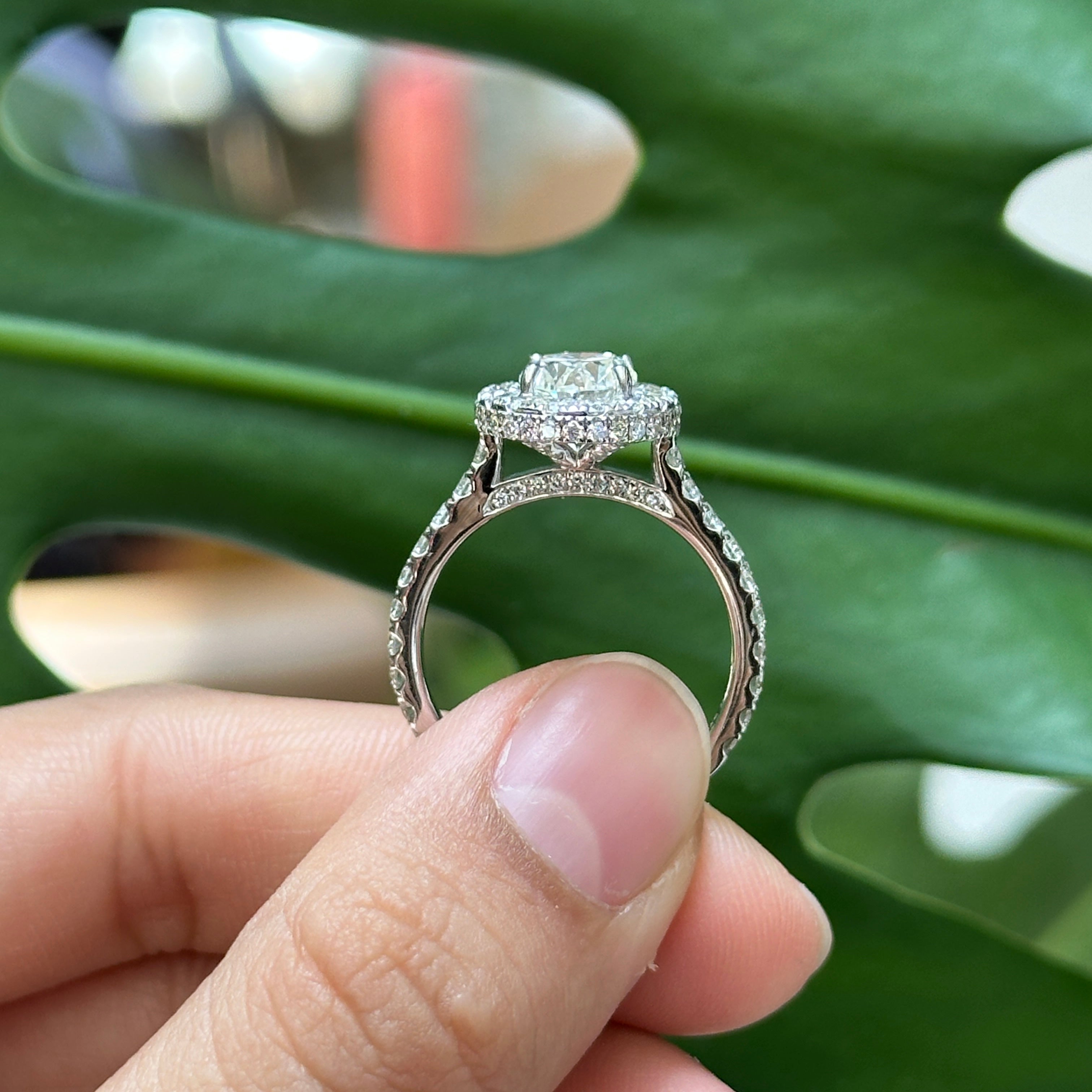 Estelle Oval Halo Ring
