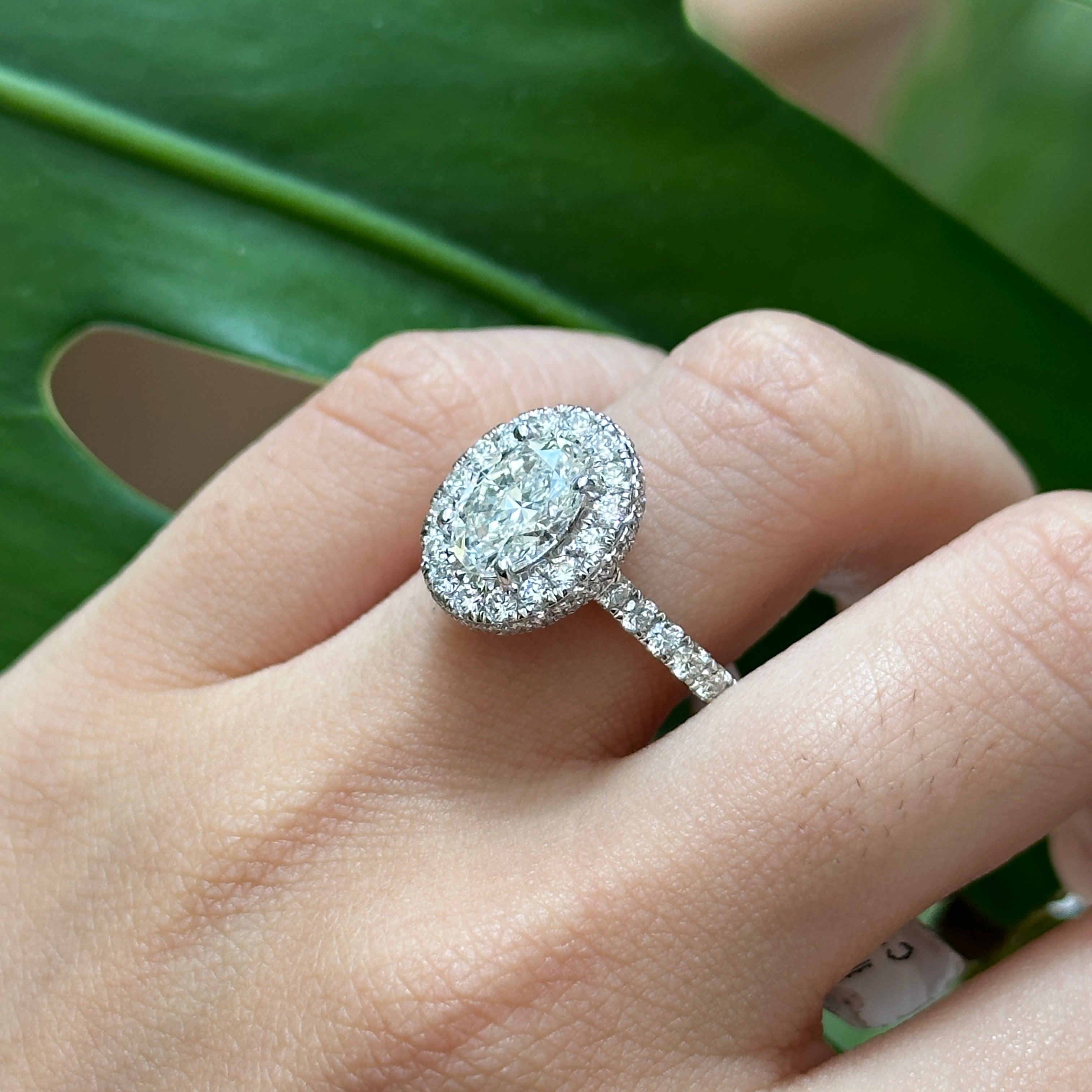 Estelle Oval Halo Ring