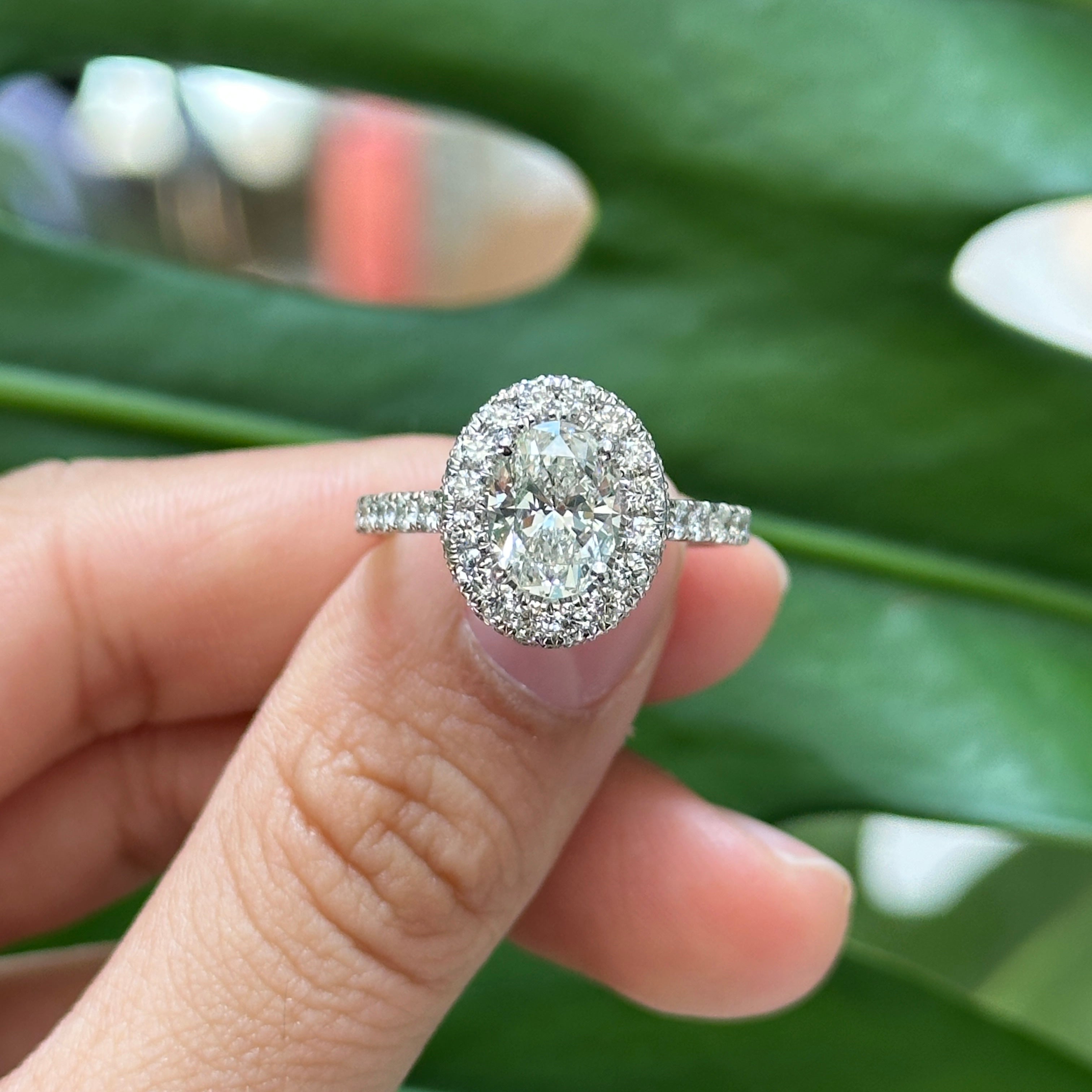 Estelle Oval Halo Ring