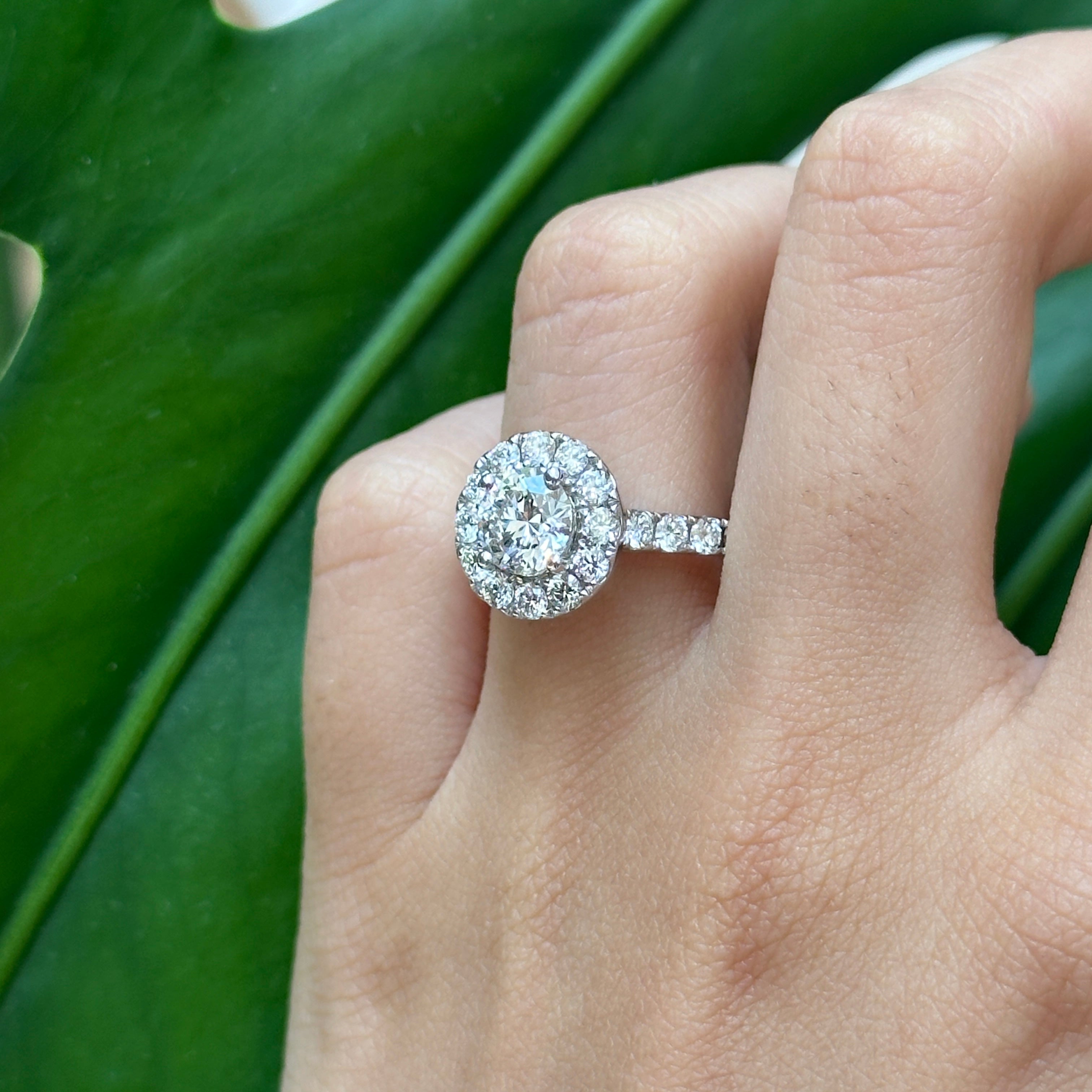 Ayla Natural Diamond Ring