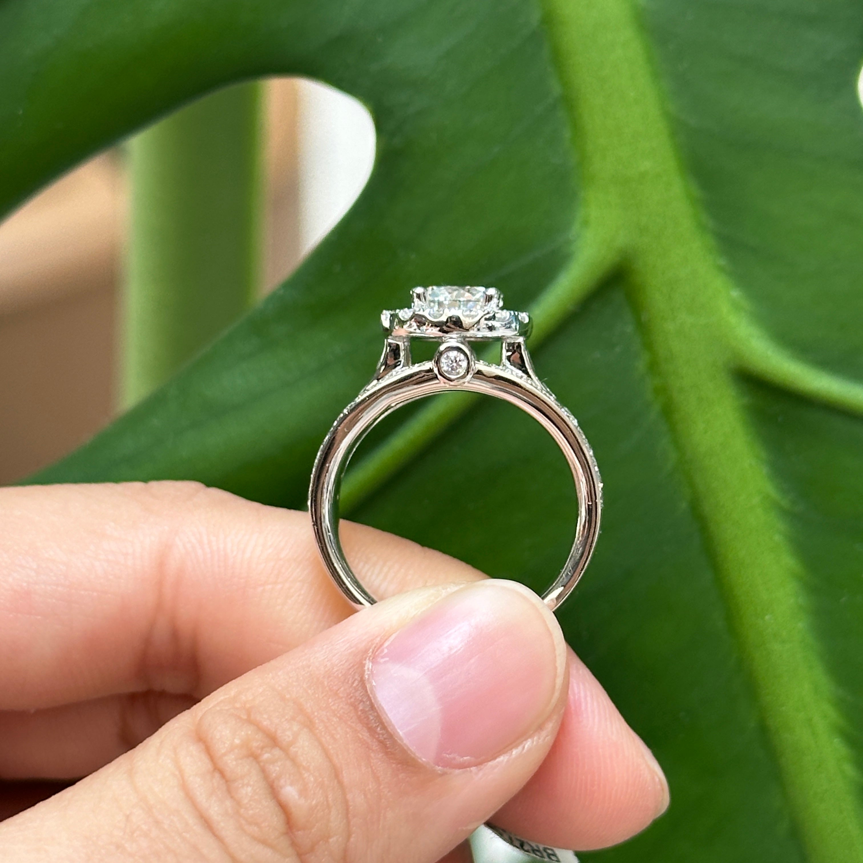 Eloise Natural Diamond Ring